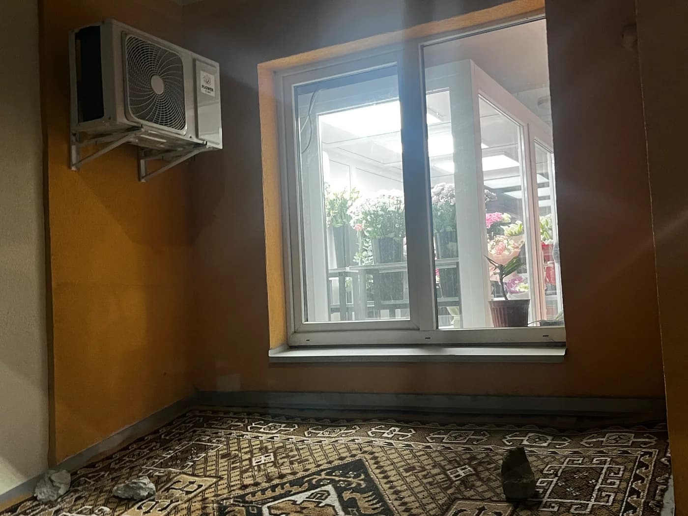 Квіти Бровари  — фото 30