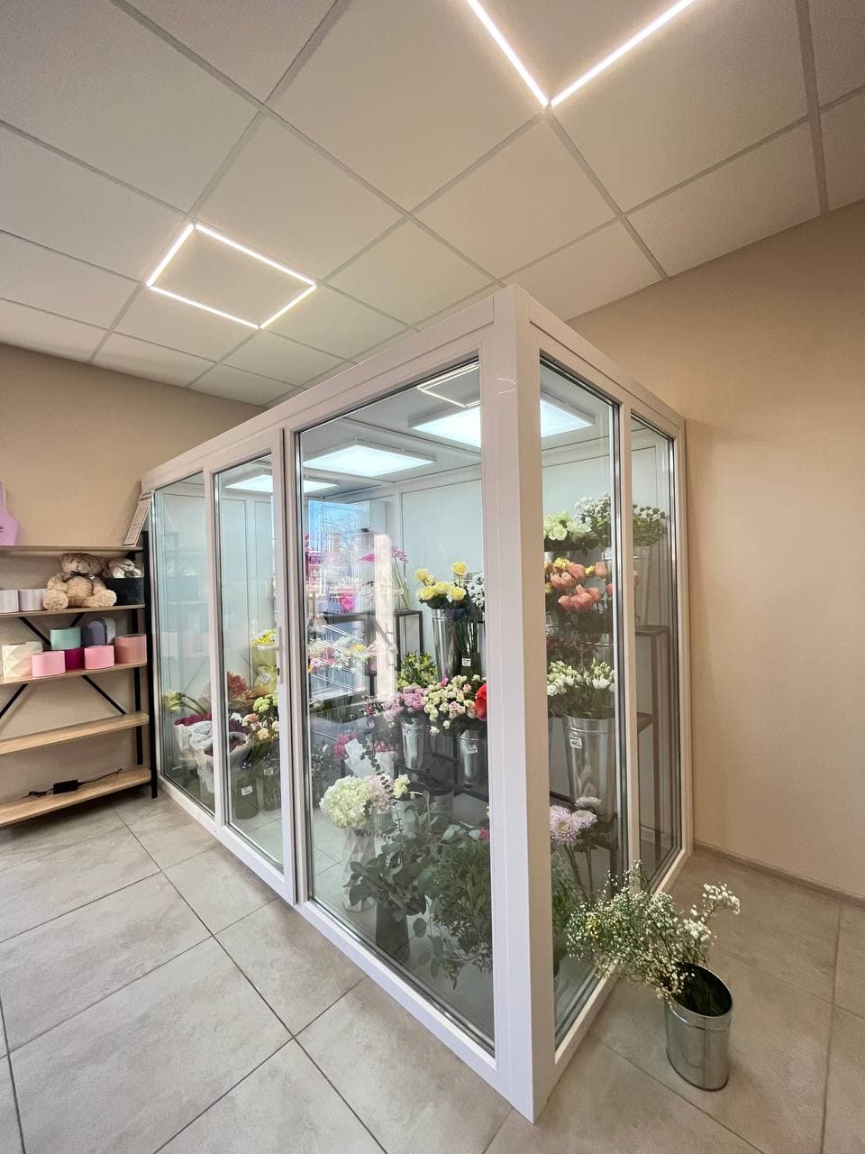 Камера-кімната (Walk-in) для квітів