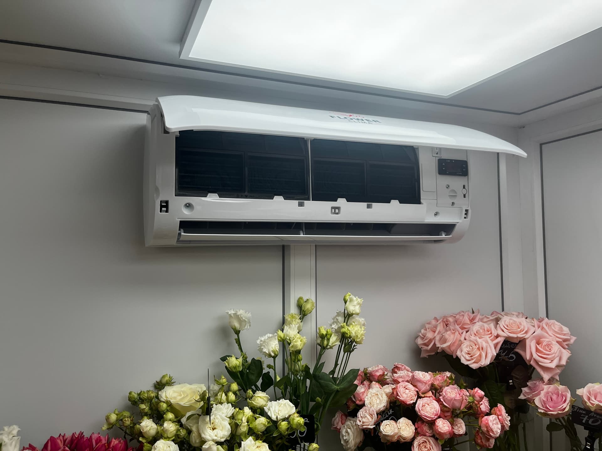 Холодильна камера для квітів — Квіти Сіль Землі, Київ — фото 1